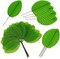200 Pcs Green Silk Artificial Leaves (Green) 0.75"D x 4.7"W x 7.3"H